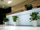 网络游戏门户巨头5173办公室内植物花卉租赁养护欣赏